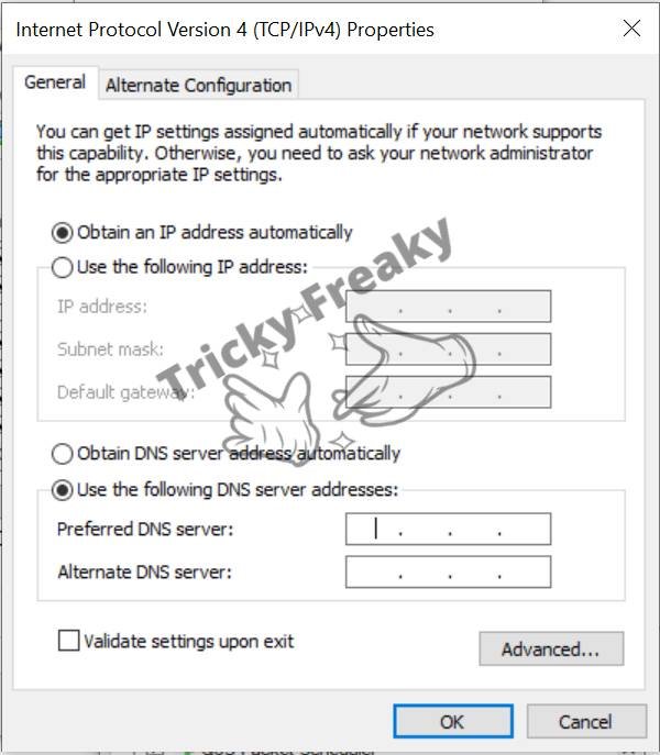 Preferred DNS server: 8.8.8.8